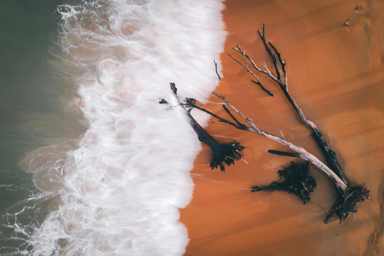 a couple of dead trees sitting on top of a sandy beach, unsplash contest winner, bird\'s eye view, foamy waves, red sand, dark sienna and white