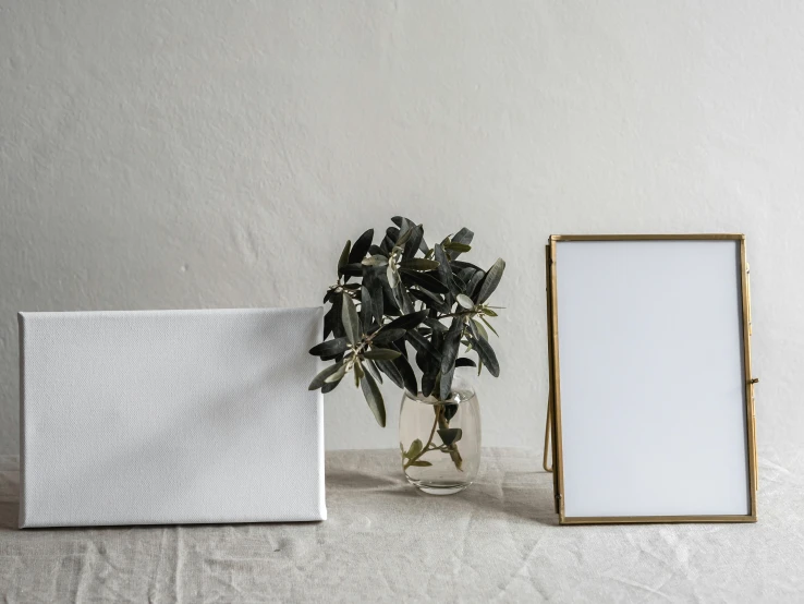 a picture frame sitting on top of a table next to a plant, a still life, inspired by Eden Box, postminimalism, brass sheet, in front of white back drop, diptych, gifts