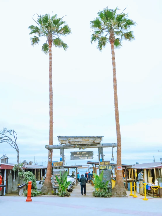 a couple of palm trees in front of a building, boardwalk, centered torii gate, outdoor fairgrounds, 5 feet away