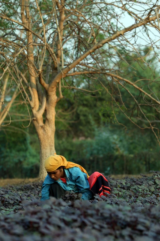 a person laying on the ground next to a tree, inspired by Steve McCurry, environmental art, villagers busy farming, in garden, teaser, woman