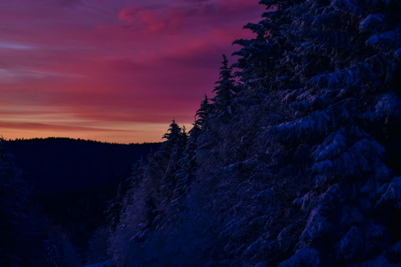 a couple of trees that are in the snow, inspired by Elsa Bleda, pexels contest winner, purple sunset, dense lush forest at night, new hampshire mountain, magenta and blue