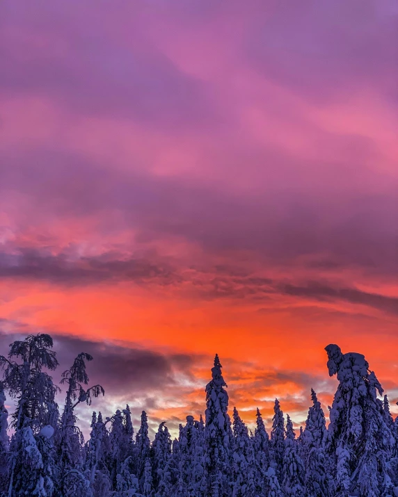 a snow covered forest filled with lots of trees, by Anton Lehmden, pexels contest winner, orange / pink sky, purple omnious sky, in the evening, tourist photo