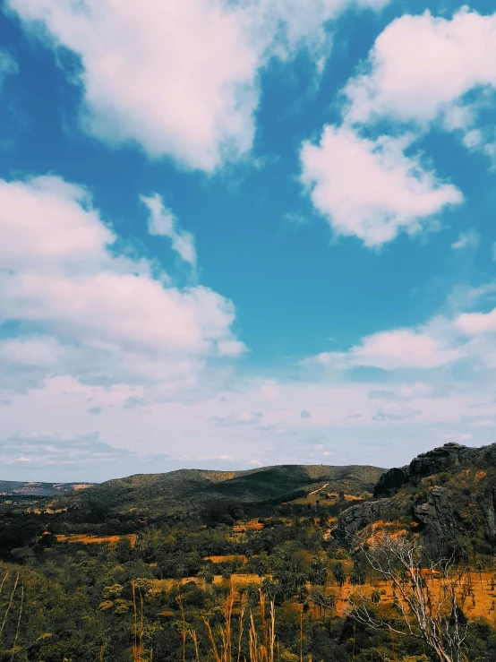 a man standing on top of a lush green hillside, an album cover, unsplash, in the australian outback, yellow clouds, instagram story, autumnal