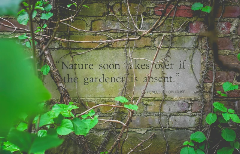 a brick wall with a quote on it, a photo, inspired by Anne Nasmyth, unsplash, naturalism, greenhouse, background image, ancient plants, instagram photo