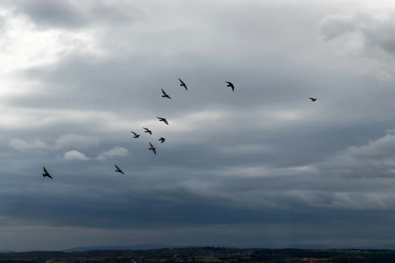 a flock of birds flying through a cloudy sky, inspired by Storm Thorgerson, pexels contest winner, grey sky, group of seven, gliding, landscape