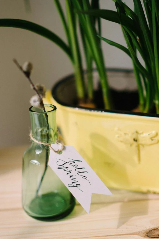 a green vase sitting on top of a wooden table, product label, daffodils, detail shot, indoor