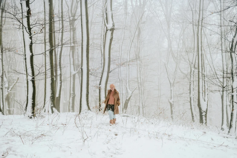a man walking through a snow covered forest, an album cover, by Emma Andijewska, pexels contest winner, alec soth : : love, brown clothes, shot on hasselblad, man with scythe