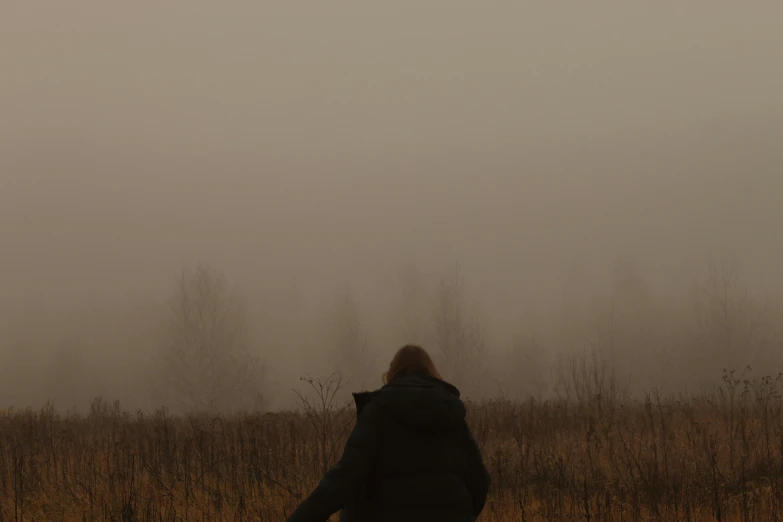 a person standing in a field on a foggy day, a picture, brown mist, foggy photo 8 k, ((mist)), album