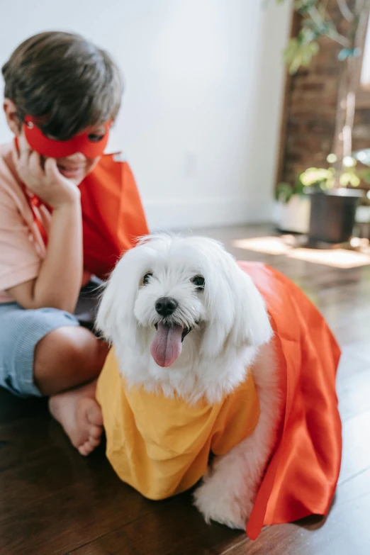 a woman sitting on the floor next to a white dog, a cartoon, trending on pexels, superhero cape, orange and yellow costume, havanese dog, male hero