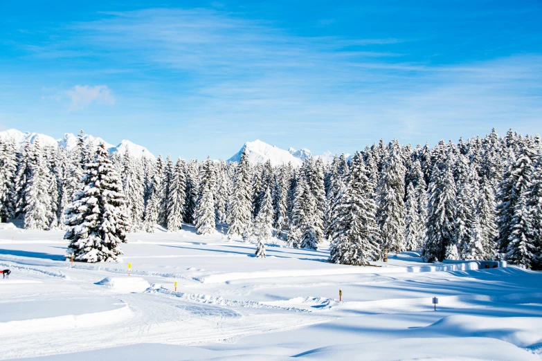 a group of people riding skis down a snow covered slope, pine trees, photo of zurich, fan favorite, blue liquid and snow