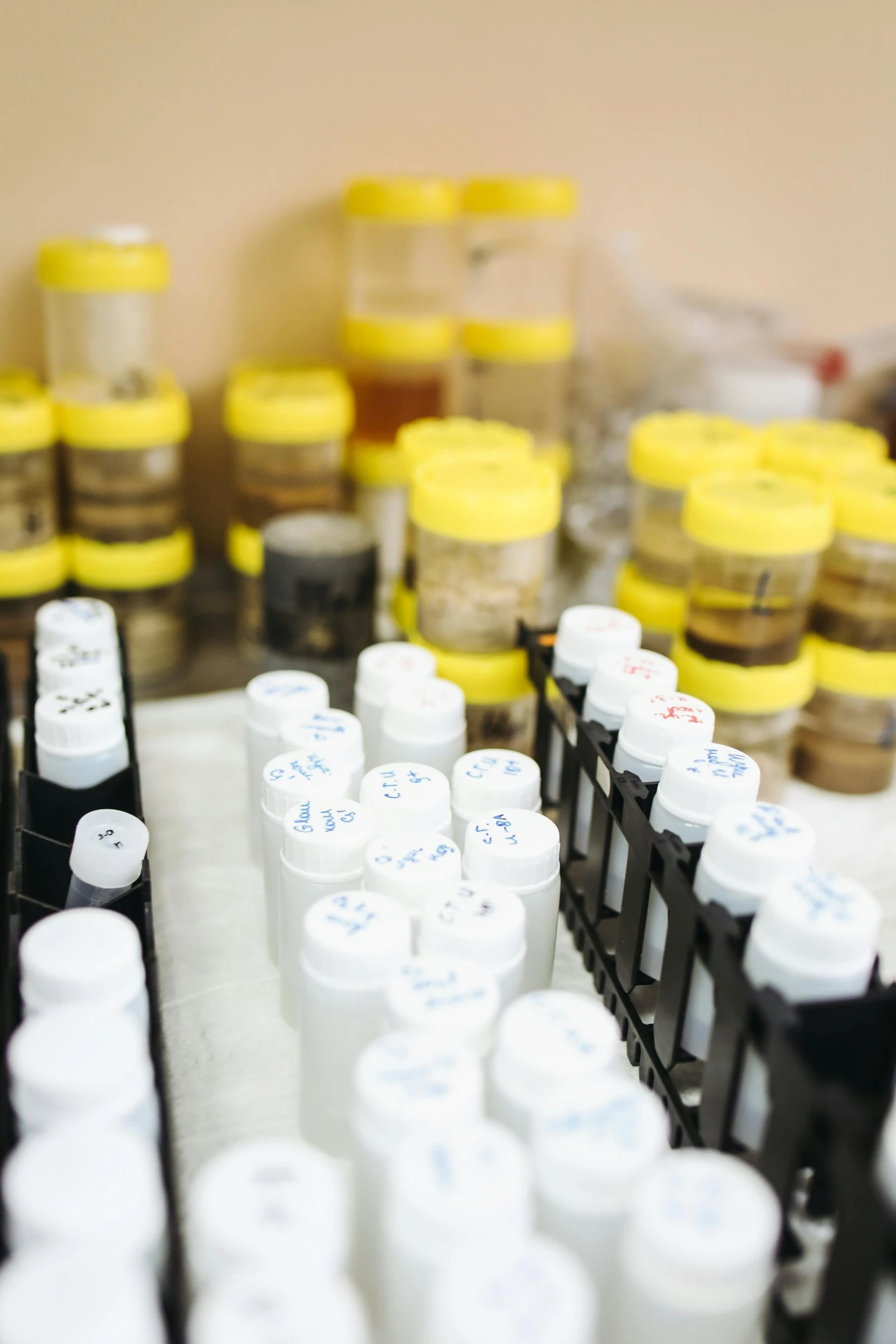 a bunch of bottles sitting on top of a counter, pathology sample test tubes, spices, white and yellow scheme, inside a science facility