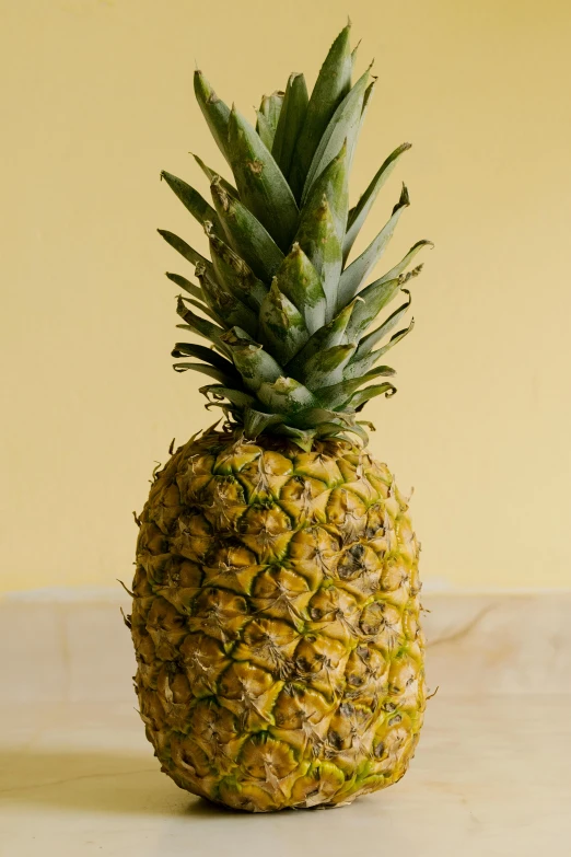 a close up of a pineapple on a table, large tall, f / 2 0, organics, frontal shot