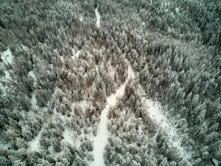 an aerial view of a snow covered forest, a picture, hurufiyya, sport, aerial photography, sick, sky view