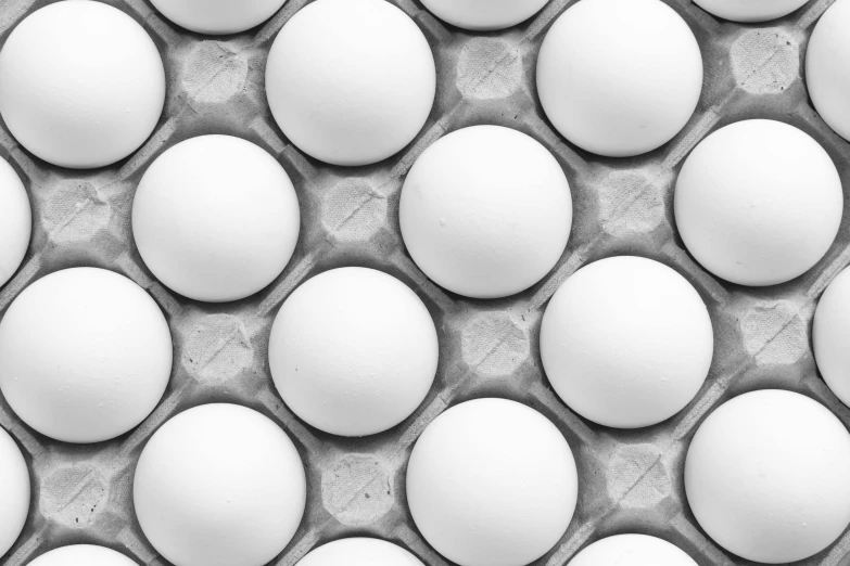 a bunch of eggs that are in a carton, a black and white photo, by Jan Kupecký, trending on pexels, bauhaus, repeating patterns, white panels, round format, with a white