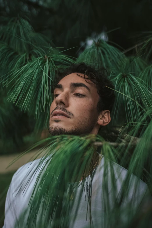 a man standing in front of a pine tree, inspired by Alexis Grimou, unsplash contest winner, mannerism, young man with beautiful face, robert sheehan, laying down, headshot profile picture