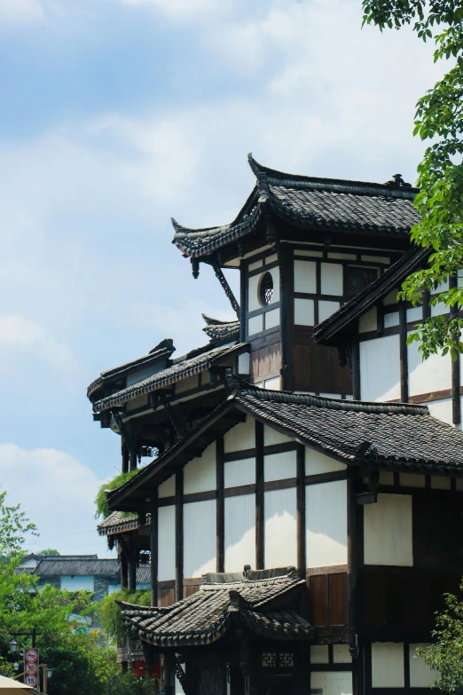 a large white and black building sitting on top of a lush green field, inspired by Watanabe Shōtei, shin hanga, zhouzhuang ancient town, detail structure, wooden buildings, turrets