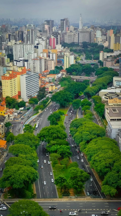 a view of a city from the top of a building, by Joze Ciuha, pexels contest winner, happening, lush trees, road, brazil, parce sepulto
