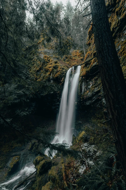 a waterfall in the middle of a forest, a picture, unsplash contest winner, tall thin, low light, british columbia, secluded