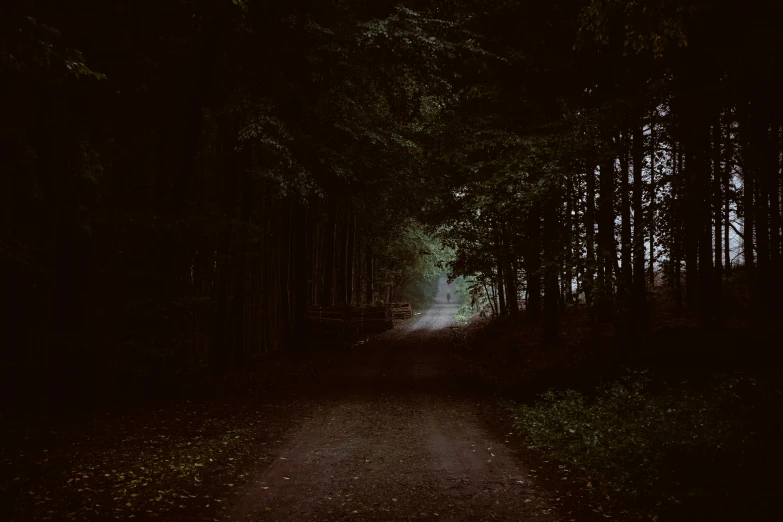 a dirt road in the middle of a forest, an album cover, inspired by Elsa Bleda, pexels contest winner, completely dark, black forest, late summer evening, beige and dark atmosphere