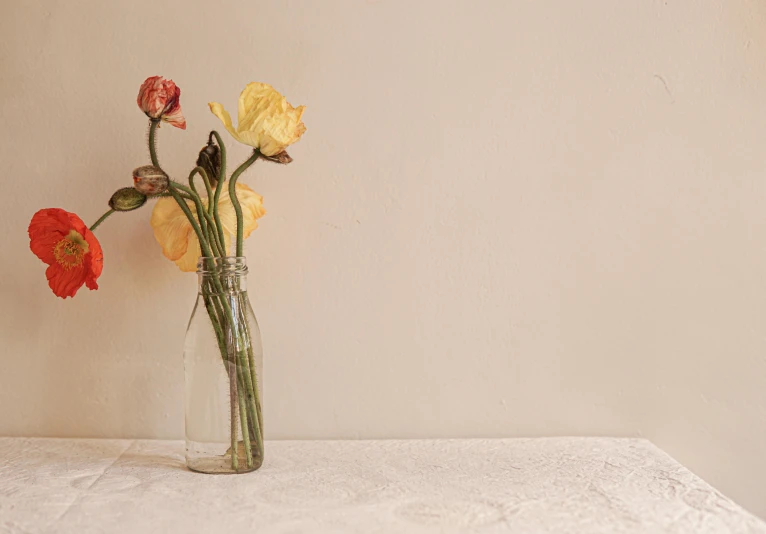 a vase filled with flowers sitting on top of a table, unsplash, minimalism, yellowed with age, background image, a few roses, glass jar