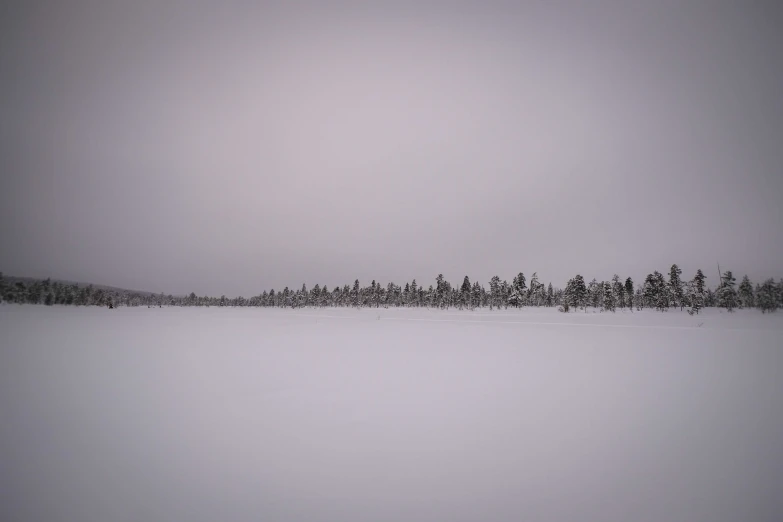 a snow covered field with trees in the distance, a picture, inspired by Eero Järnefelt, unsplash, land art, photo taken from a boat, grey colours, lined up horizontally, lapland