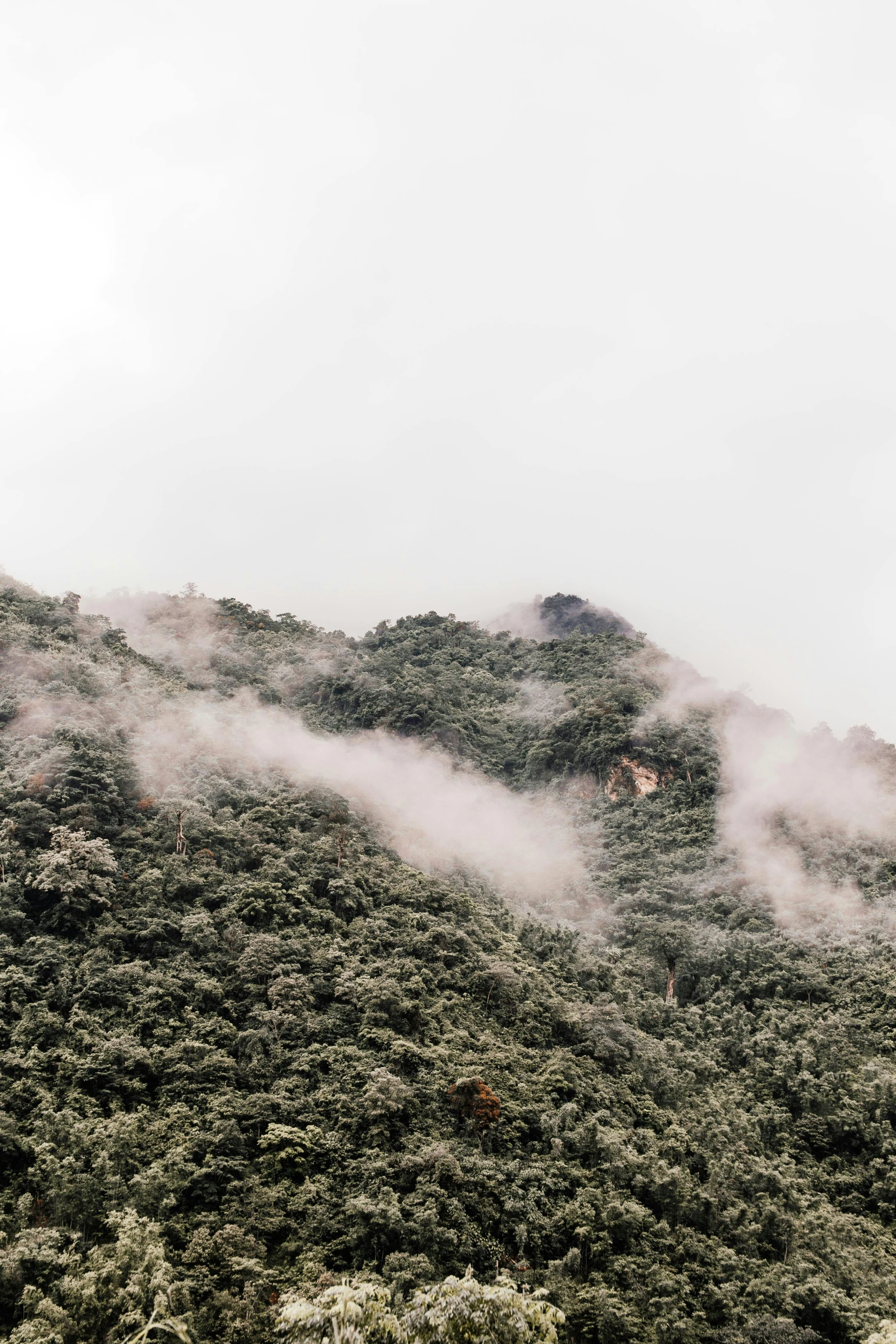 a group of people standing on top of a lush green hillside, an album cover, inspired by Zhang Kechun, trending on unsplash, process art, dusting of snow, low clouds after rain, as seen from the canopy, like jiufen