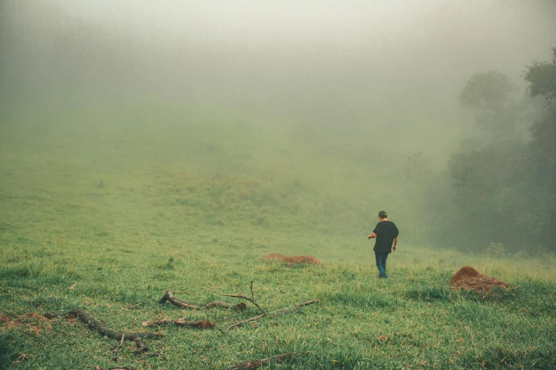 a man standing on top of a lush green field, by Elsa Bleda, pexels contest winner, australian tonalism, foggy!, grazing, panoramic view of girl, man standing