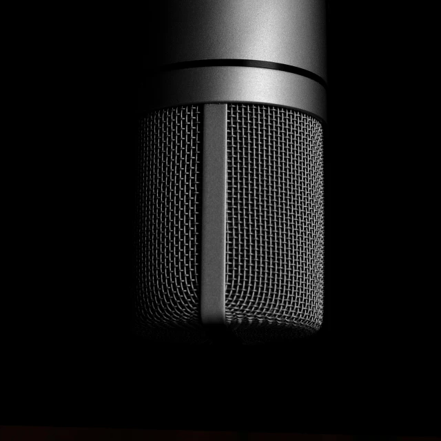 a close up of a microphone in a dark room, by Kristian Zahrtmann, pexels, vantablack chiaroscuro, panel, in a black empty studio hollow, photo realistic image