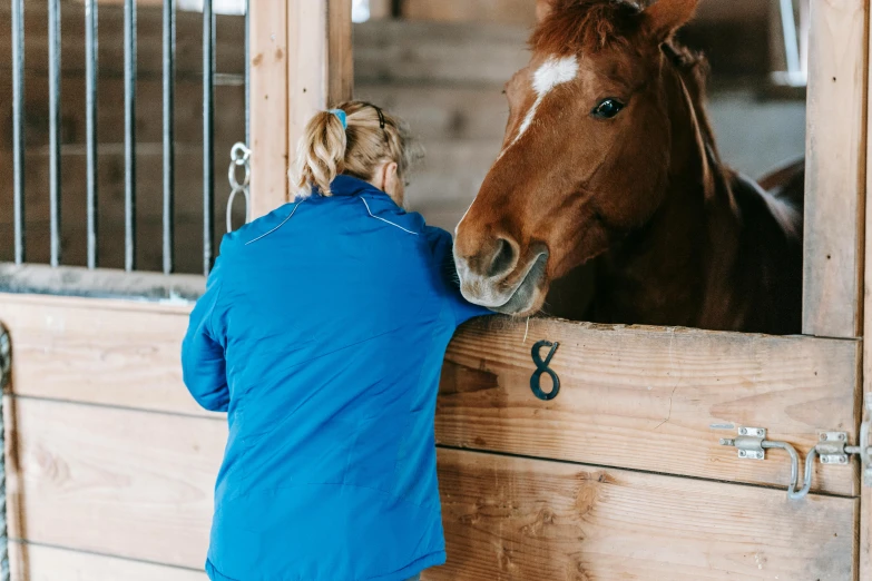 a woman is petting a horse in a stable, pexels contest winner, 🦩🪐🐞👩🏻🦳, blue, brown, facing away