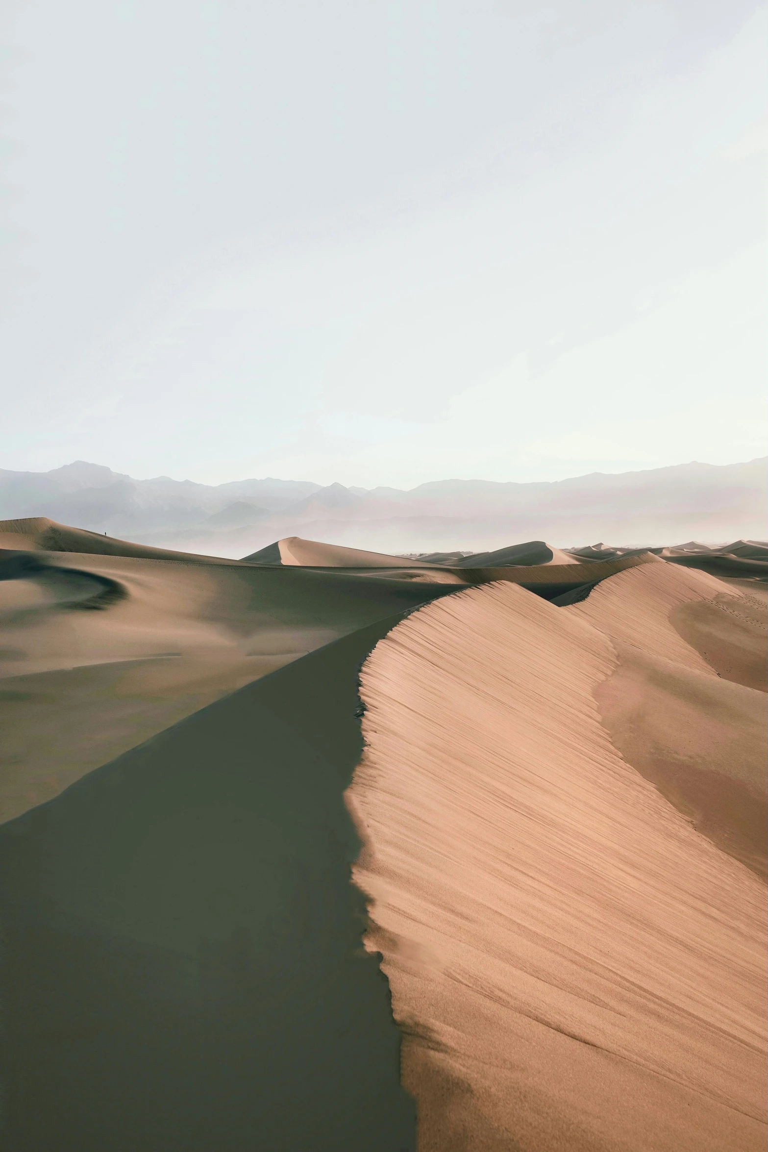 a desert with sand dunes and mountains in the background, by Daren Bader, unsplash contest winner, conceptual art, instagram post, subtle shadows, an expansive grassy plain, flowing curves