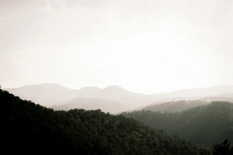 a black and white photo of a mountain range, unsplash contest winner, tonalism, overlooking a valley with trees, muted green, marbella landscape, minimalistic aesthetics