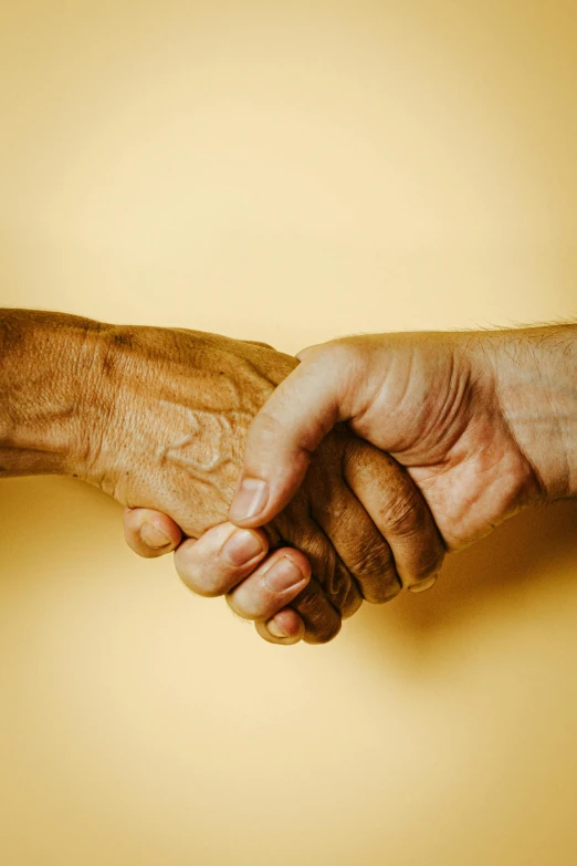 a close up of two people shaking hands, by Alison Geissler, renaissance, aging, golden hues, where a large