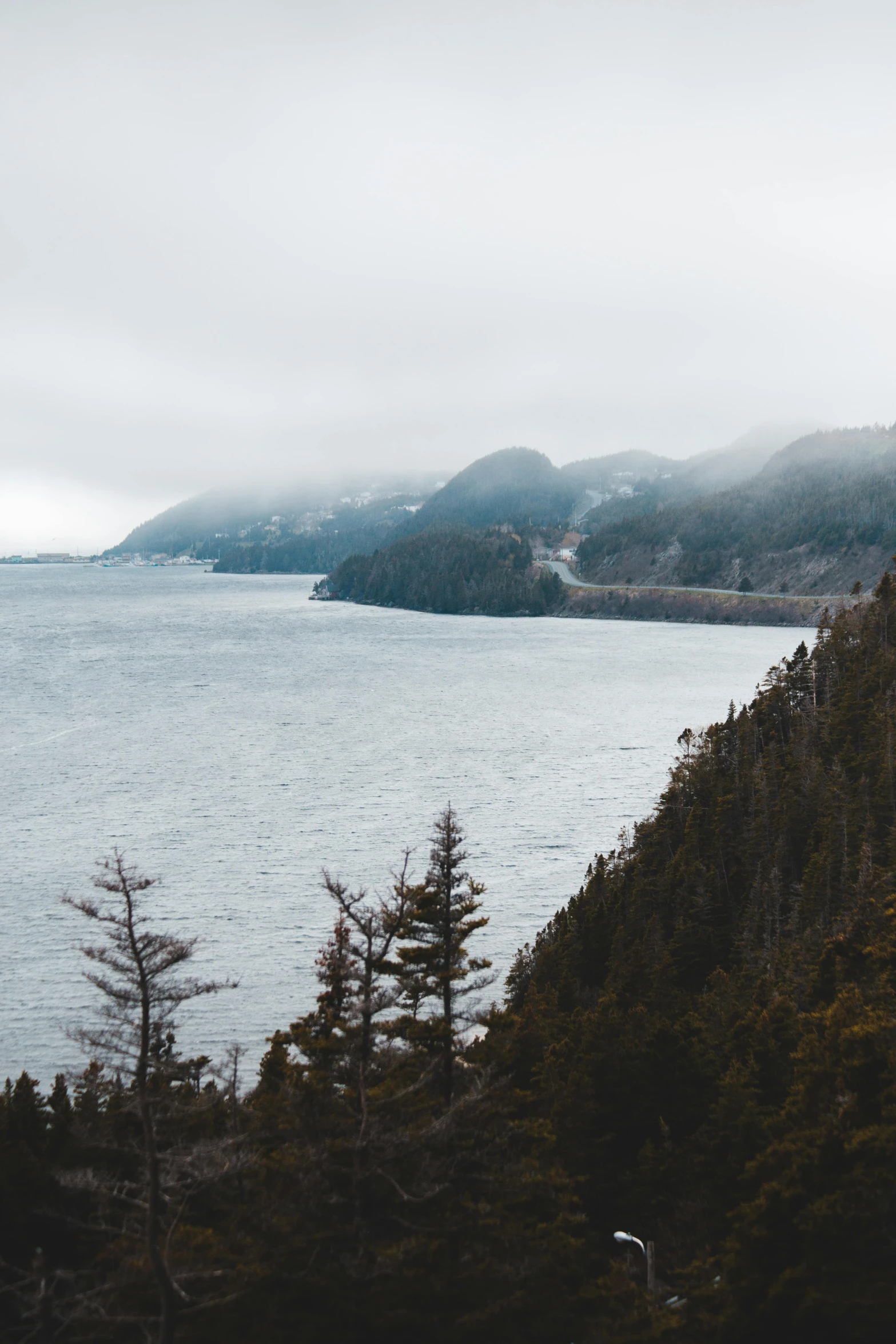 a large body of water surrounded by trees, a picture, by Kristin Nelson, trending on unsplash, les nabis, snowy fjord, raging sea foggy, quebec, overlooking the ocean