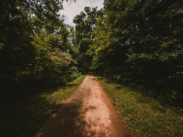 a dirt road in the middle of a forest, instagram post, wide greenways, 5k, in a park