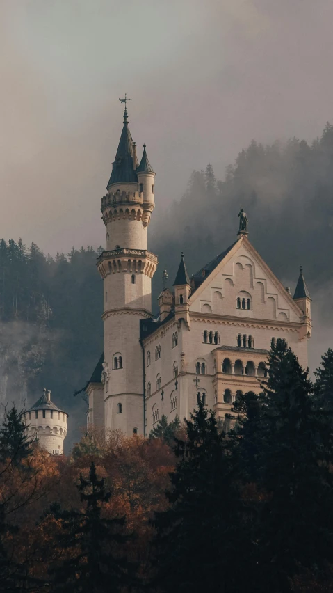 a castle sitting on top of a lush green hillside, by Sebastian Spreng, pexels contest winner, art nouveau, under a gray foggy sky, german renaissance architecture, brown, snow white