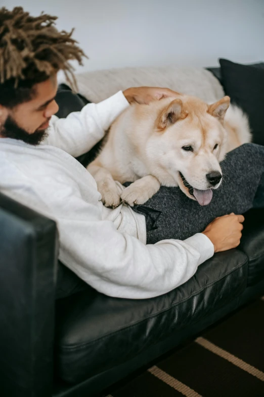 a man sitting on a couch with a dog, trending on unsplash, japanese dog, grey, supportive, inspect in inventory image