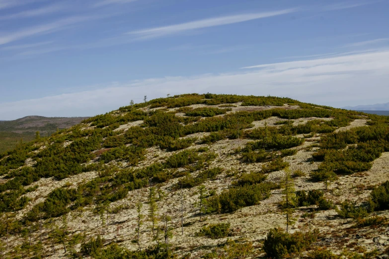 a man standing on top of a lush green hillside, by Eero Järnefelt, unsplash, hurufiyya, structural geology, in avila pinewood, slide show, seen from a distance