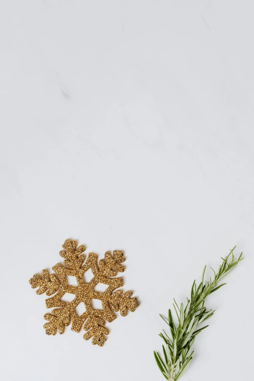 a sprig of rosemary next to a crocheted snowflake, trending on pexels, unrefined sparkling gold nugget, full view blank background, background image, multiple stories