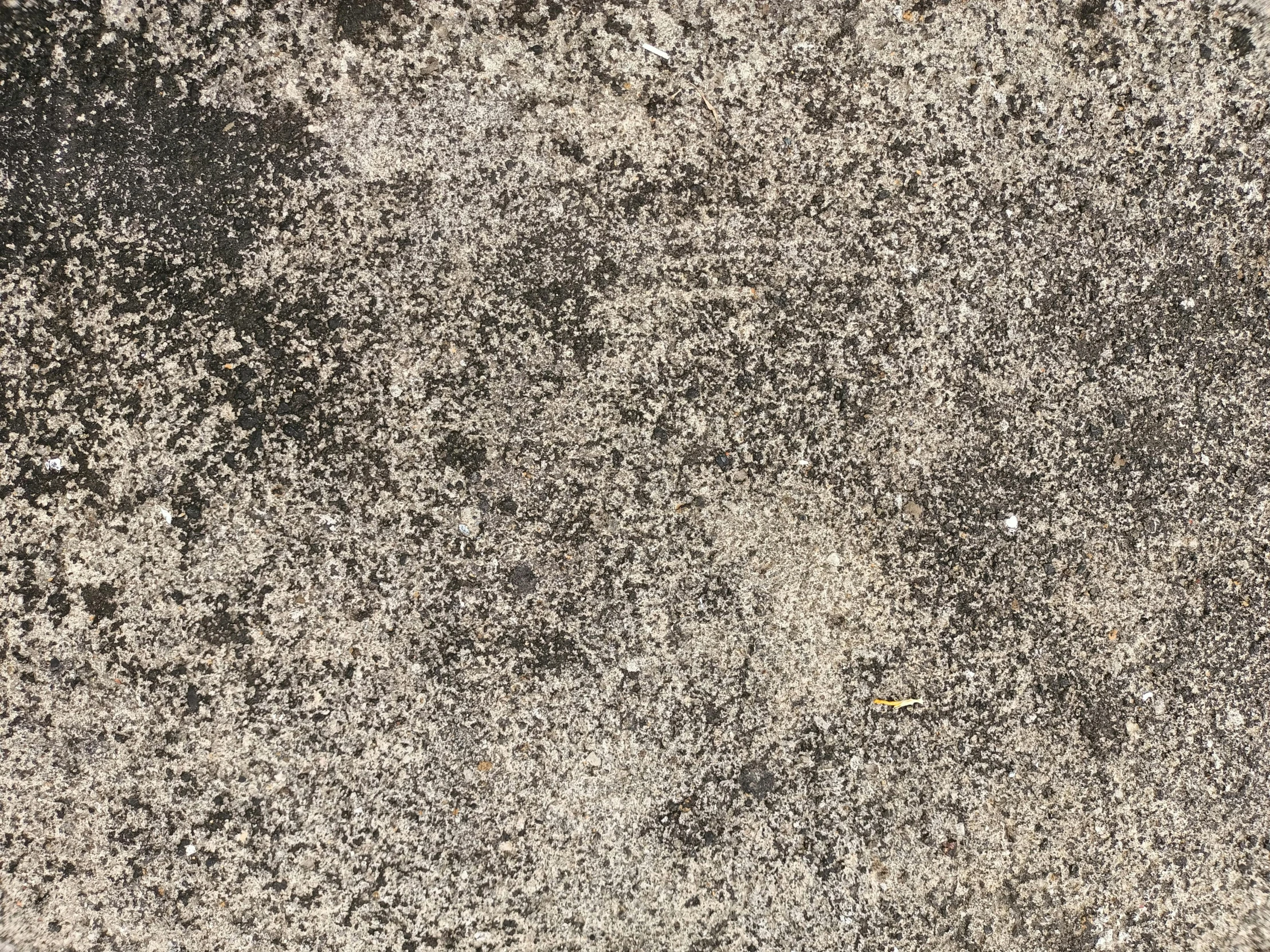 a black and white photo of a dirty wall, an album cover, by Howardena Pindell, concrete art, background image, seamless texture, dark beige grey background, mossy ground