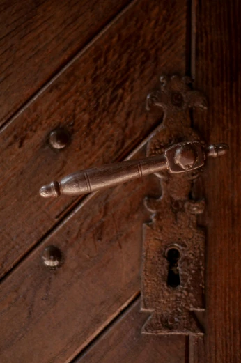 a close up of a door handle on a wooden door, inspired by Károly Markó the Elder, renaissance, bird view, night time, chest, indoor