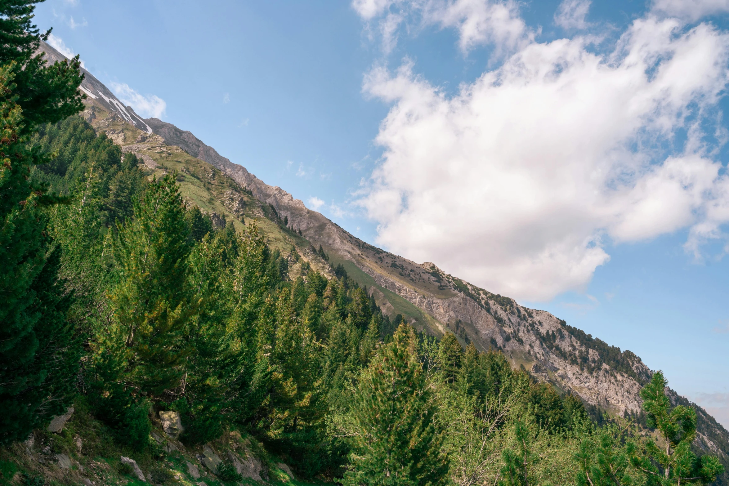 a group of people riding horses down a dirt road, an album cover, by Cedric Peyravernay, unsplash, les nabis, solo hiking in mountains trees, mount olympus, landslides, a still of an ethereal