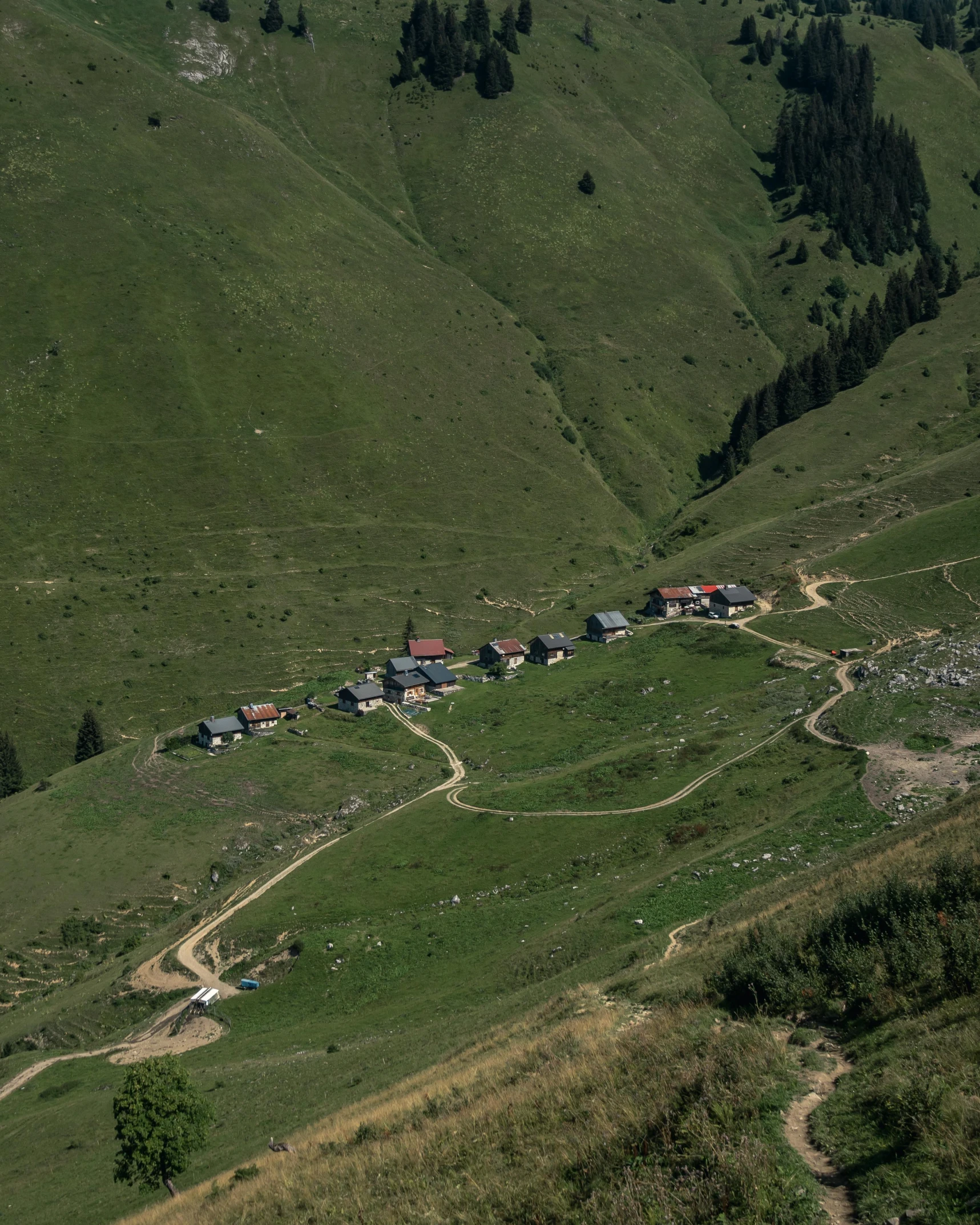 a herd of sheep grazing on top of a lush green hillside, by Sebastian Spreng, pexels contest winner, les nabis, log houses built on hills, satellite view, alp, chairlifts