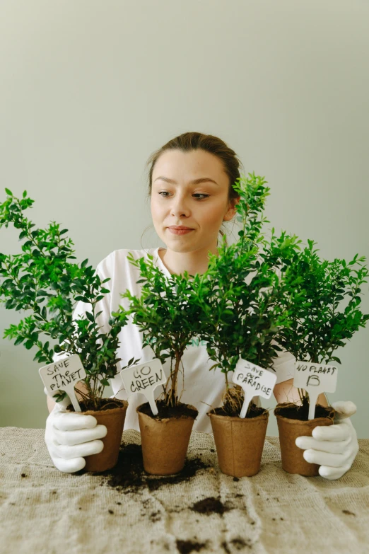 a woman sitting at a table with potted plants, model trees, in rows, partially cupping her hands, lush green