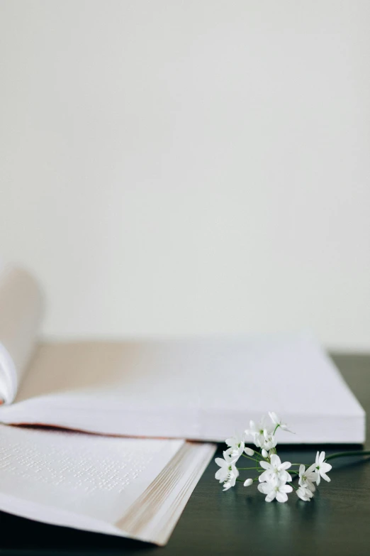 an open book sitting on top of a wooden table, unsplash, minimalism, white flowers, pen on white paper, background image, white and pink cloth