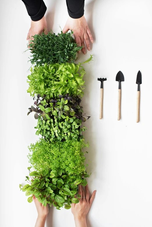 a group of people standing on top of a white table, vertical gardens, extra bacon lettuce and tomato, detailed product shot, wall structure