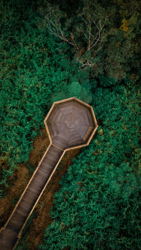a large wooden structure in the middle of a forest, by Jacob Toorenvliet, unsplash contest winner, land art, isometric top down left view, hexagonal wall, walkway, round-cropped
