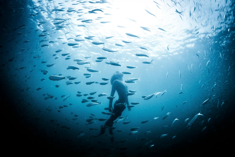 a person in a body of water surrounded by fish, by Jesper Knudsen, pexels contest winner, blue toned, national geographic photo award, vast seas, adventure