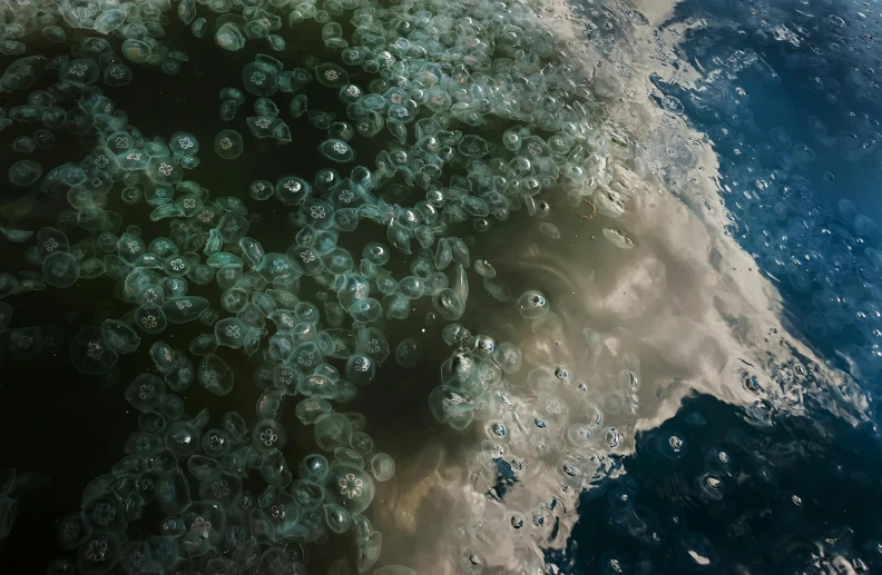 a bunch of bubbles floating on top of a body of water, a microscopic photo, inspired by Filip Hodas, unsplash contest winner, digital art, foamy waves, birdseye view, octane render - n 9, hyper realistic ”