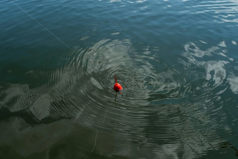 a red object floating on top of a body of water, unsplash, kinetic art, fishing pole, full frame image, miro, high - angle view