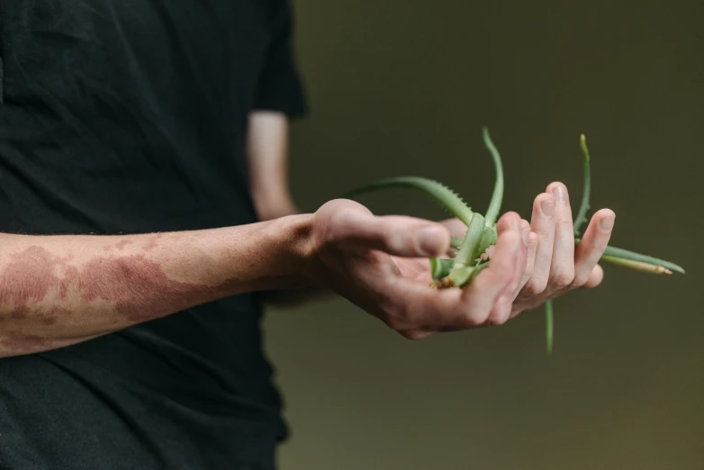 a close up of a person holding a plant, by Jessie Algie, unsplash, holding jagged scimitar, pickle rick, ignant, scaly skin